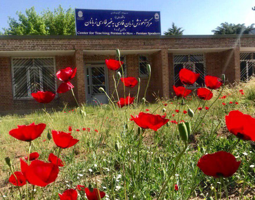 تصویر کوچک